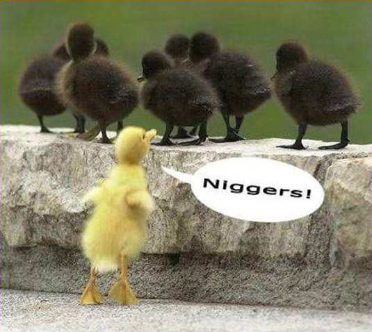 nigger