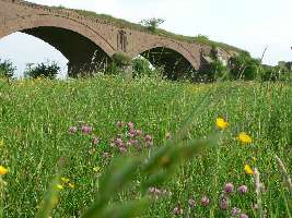 Alte Weseler Rheinbruecke