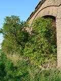 Historische Rheinbruecke bei Wesel