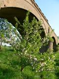 Historische Rheinbruecke bei Wesel