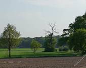 Irgendwo am Niederrhein