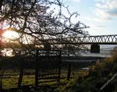 Alte "Behelfsbrücke nach dem Krieg" in Wesel