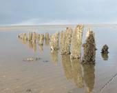 Ein Tag auf Wangerooge