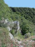 In der Nähe von Lichtenstein / Zellertal