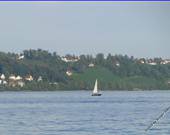 Ein Tag auf der Insel Mainau