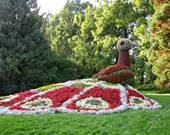 Ein Tag auf der Insel Mainau