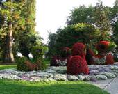 Ein Tag auf der Insel Mainau