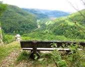 In der Nähe von Lichtenstein / Zellertal