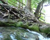 Rund um den Wasserfall von Bad Urach